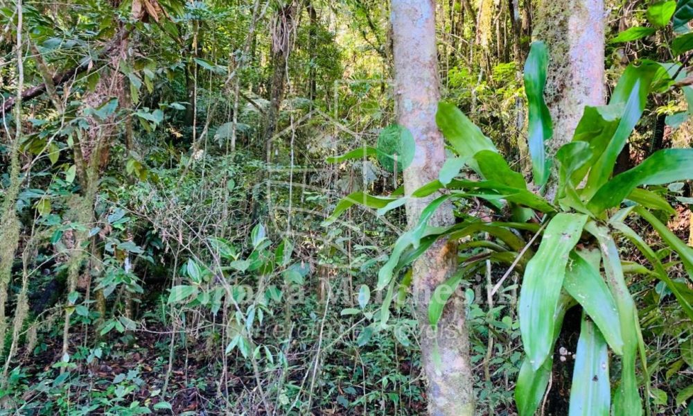 WhatsApp Image 2025-05-12 at 14.40.15 (2)