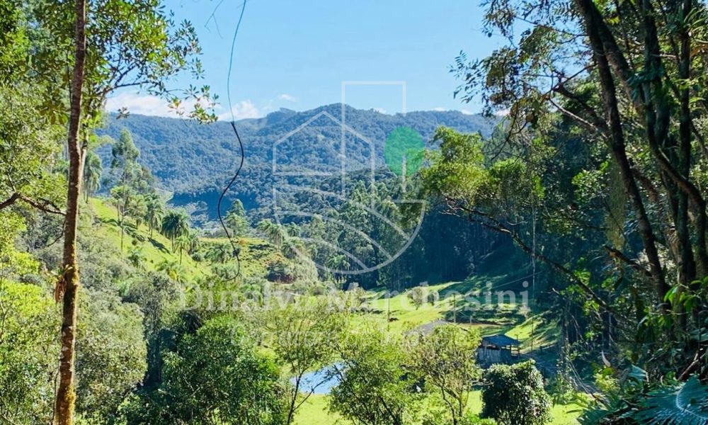 WhatsApp Image 2025-05-12 at 14.40.15