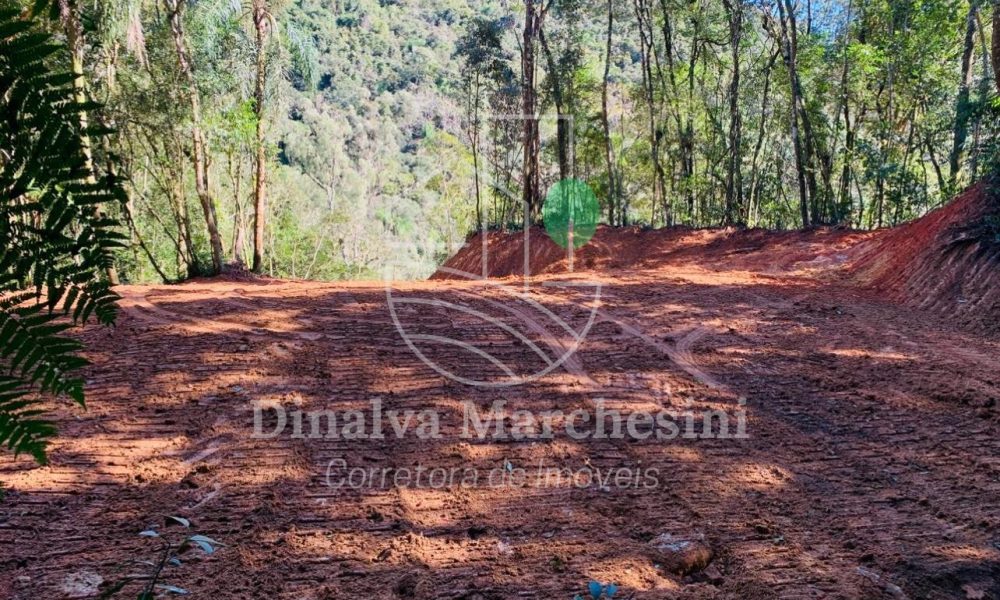 WhatsApp Image 2025-05-12 at 14.40.16 (2)