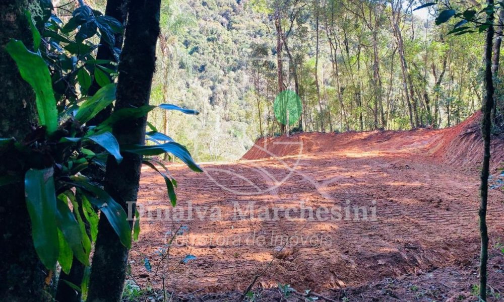 WhatsApp Image 2025-05-12 at 14.40.16