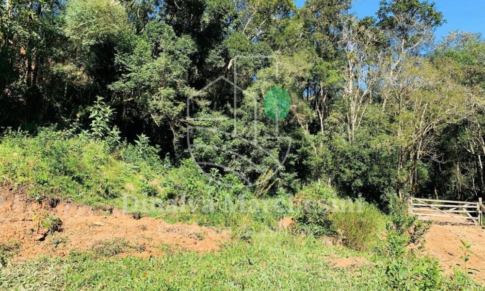 WhatsApp Image 2025-05-12 at 14.40.17 (1)