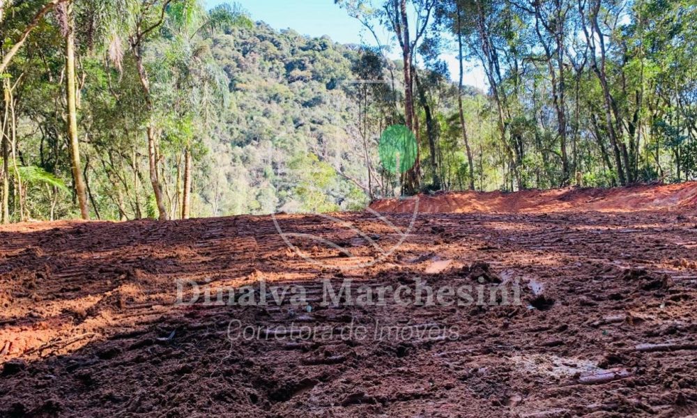 WhatsApp Image 2025-05-12 at 14.40.17 (3)