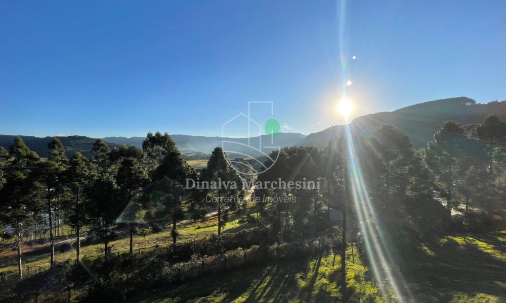 WhatsApp Image 2025-06-17 at 09.32.55 (1)