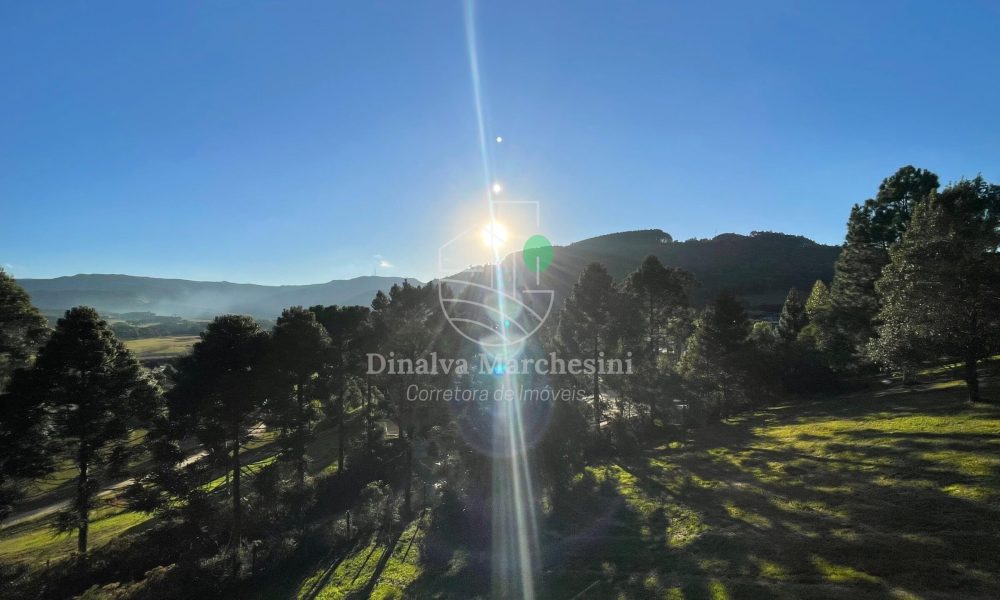 WhatsApp Image 2025-06-17 at 09.32.55