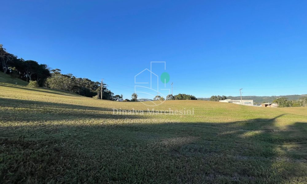 WhatsApp Image 2025-06-17 at 09.34.41