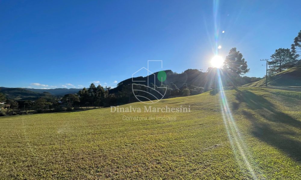 WhatsApp Image 2025-06-17 at 09.34.43 (1)