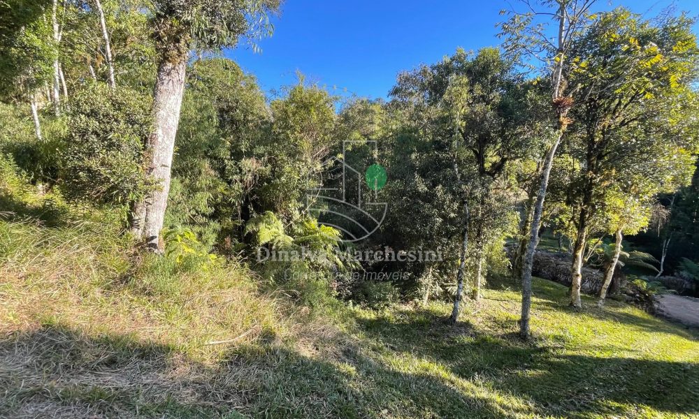 WhatsApp Image 2025-06-17 at 09.35.37 (1)