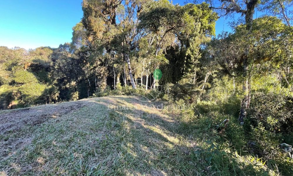 WhatsApp Image 2025-06-17 at 09.35.39 (2)