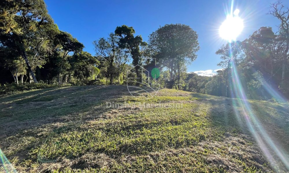 WhatsApp Image 2025-06-17 at 09.35.40