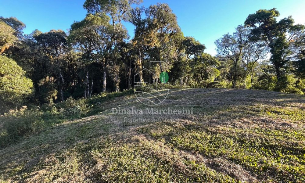 WhatsApp Image 2025-06-17 at 09.35.41 (1)