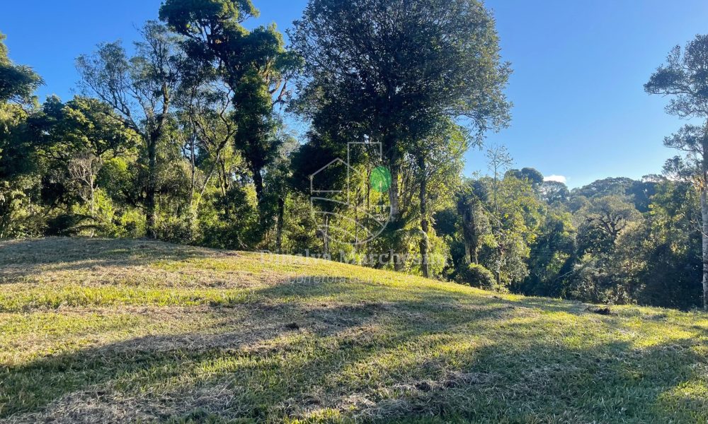 WhatsApp Image 2025-06-17 at 09.35.43 (1)