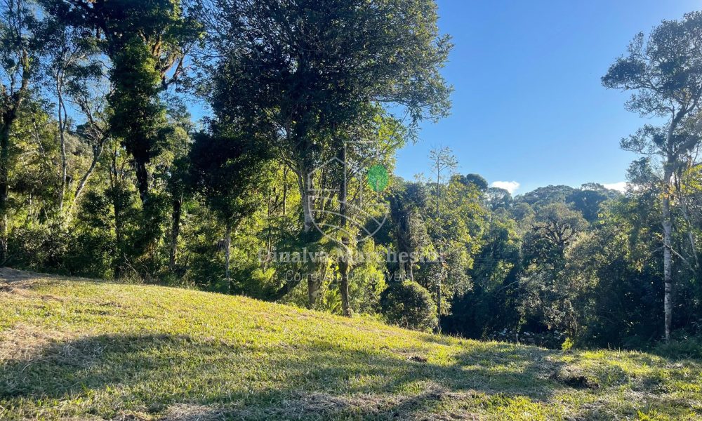 WhatsApp Image 2025-06-17 at 09.35.44 (1)