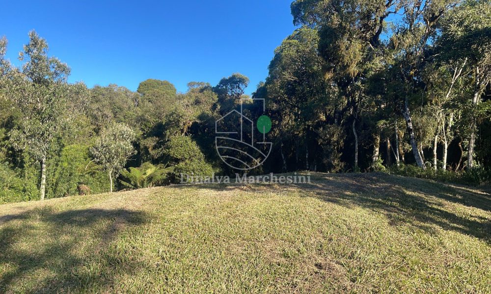 WhatsApp Image 2025-06-17 at 09.35.45 (1)