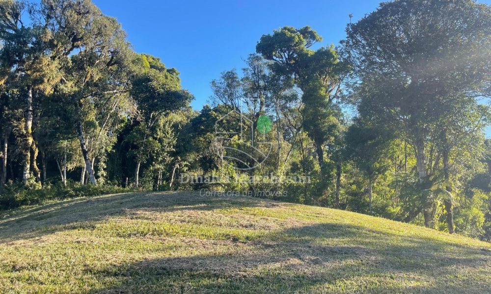 WhatsApp Image 2025-06-17 at 09.35.45 (2)