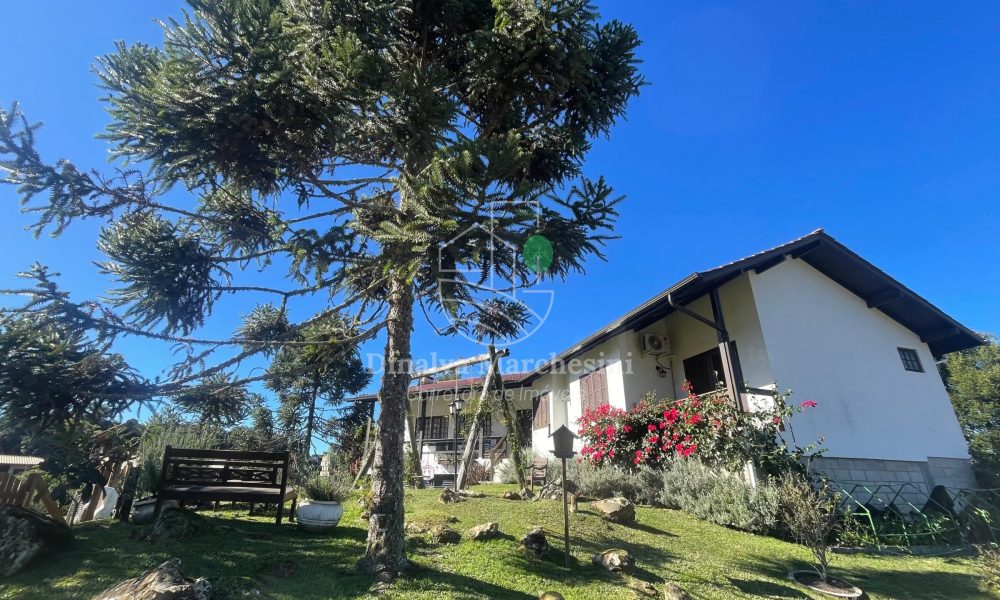 WhatsApp Image 2025-06-25 at 15.47.59