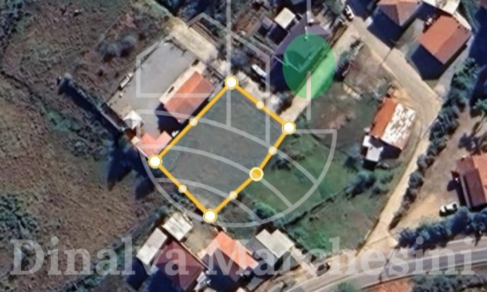 WhatsApp Image 2025-06-25 at 16.37.34 (1)