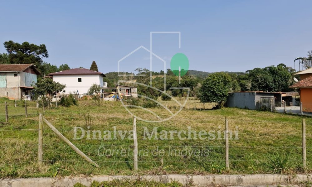 WhatsApp Image 2025-06-25 at 16.37.34