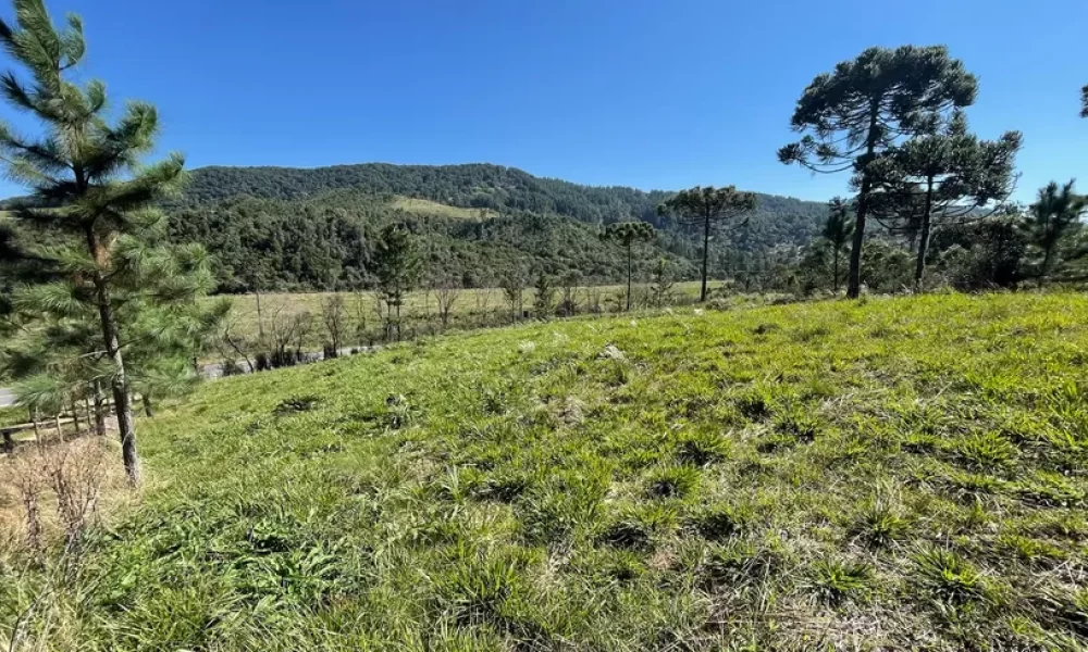 fazenda-s-tio-ch-cara-com-2-quartos-venda-20000m-no-centro-rancho-queimado (1)