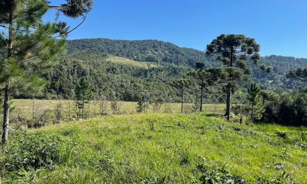 fazenda-s-tio-ch-cara-com-2-quartos-venda-20000m-no-centro-rancho-queimado (11)