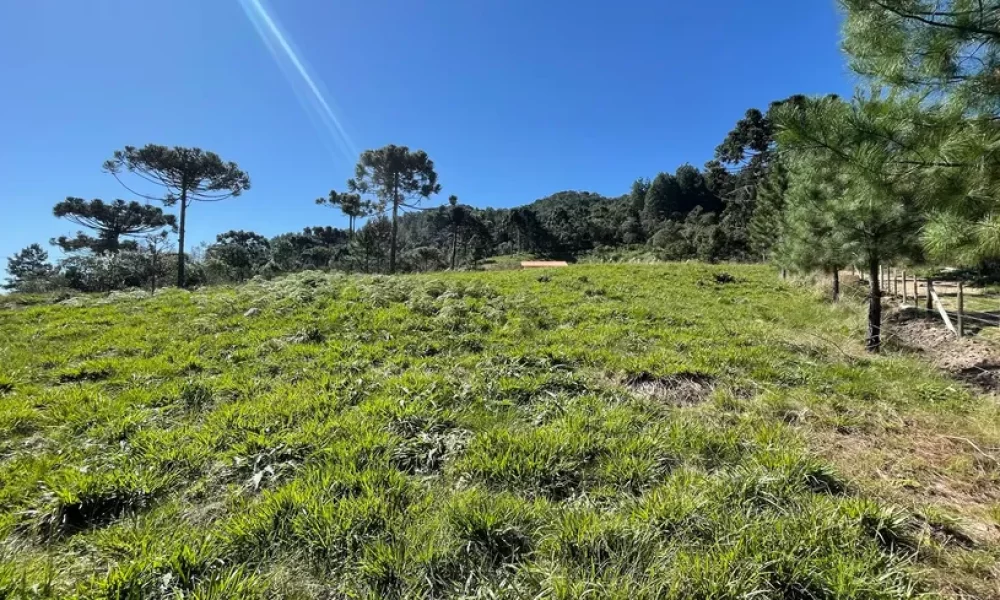 fazenda-s-tio-ch-cara-com-2-quartos-venda-20000m-no-centro-rancho-queimado (12)