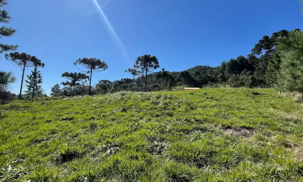 fazenda-s-tio-ch-cara-com-2-quartos-venda-20000m-no-centro-rancho-queimado (2)