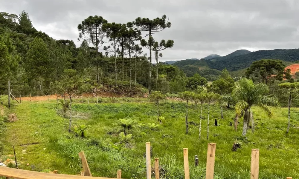 fazenda-s-tio-ch-cara-com-2-quartos-venda-20000m-no-centro-rancho-queimado (25)