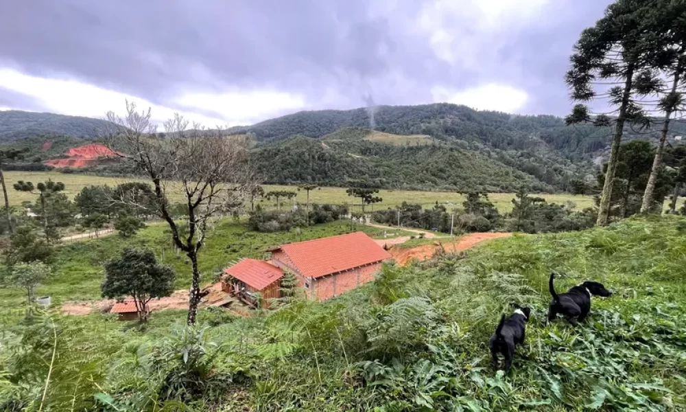 fazenda-s-tio-ch-cara-com-2-quartos-venda-20000m-no-centro-rancho-queimado (26)