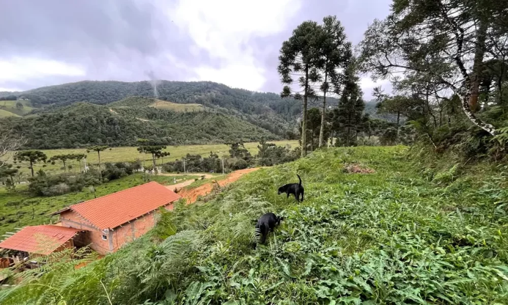 fazenda-s-tio-ch-cara-com-2-quartos-venda-20000m-no-centro-rancho-queimado (29)