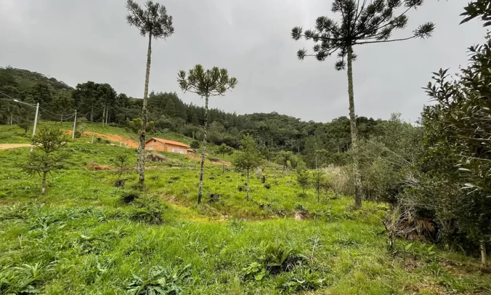 fazenda-s-tio-ch-cara-com-2-quartos-venda-20000m-no-centro-rancho-queimado (31)