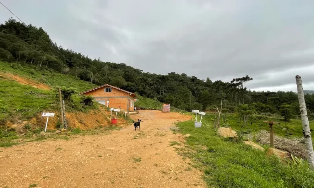 fazenda-s-tio-ch-cara-com-2-quartos-venda-20000m-no-centro-rancho-queimado (32)