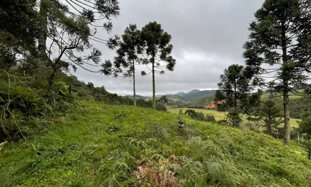 fazenda-s-tio-ch-cara-com-2-quartos-venda-20000m-no-centro-rancho-queimado (34)