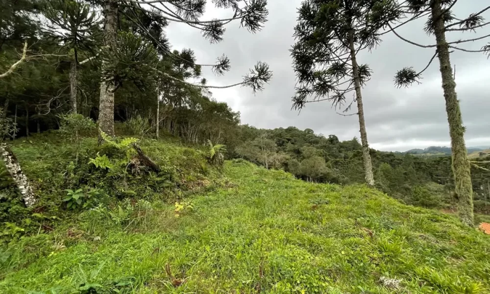 fazenda-s-tio-ch-cara-com-2-quartos-venda-20000m-no-centro-rancho-queimado (36)