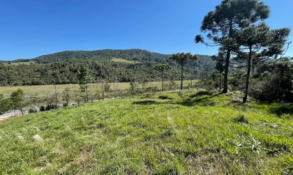 fazenda-s-tio-ch-cara-com-2-quartos-venda-20000m-no-centro-rancho-queimado (6)