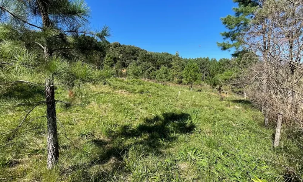 fazenda-s-tio-ch-cara-com-2-quartos-venda-20000m-no-centro-rancho-queimado (7)