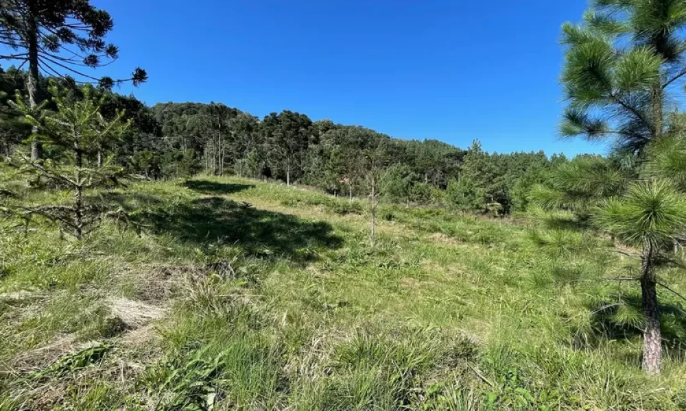 fazenda-s-tio-ch-cara-com-2-quartos-venda-20000m-no-centro-rancho-queimado (8)